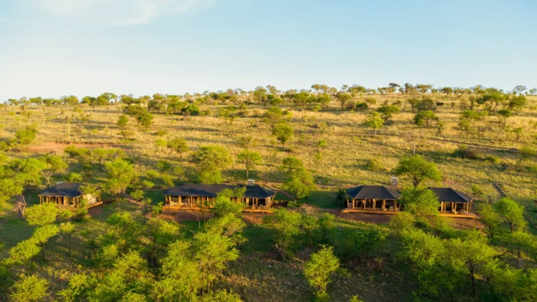 Luwela Camp