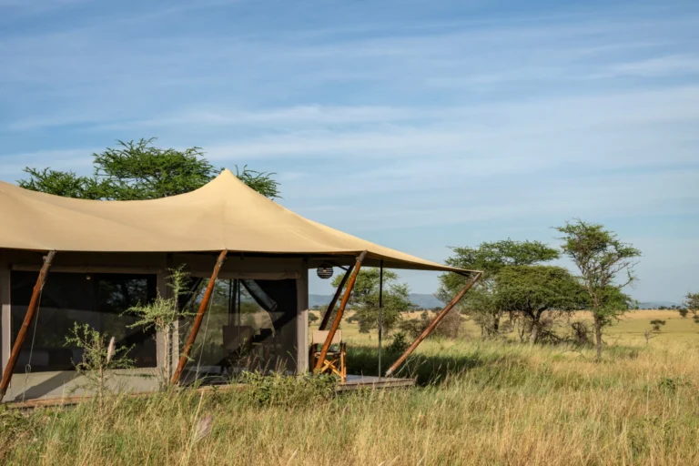 Manya Luxury Camp