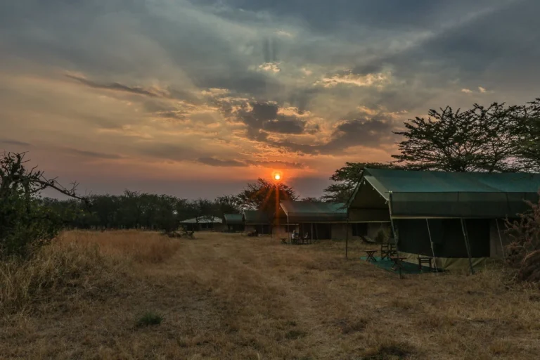 Nasikia Mobile Migration Camp Small Marsh