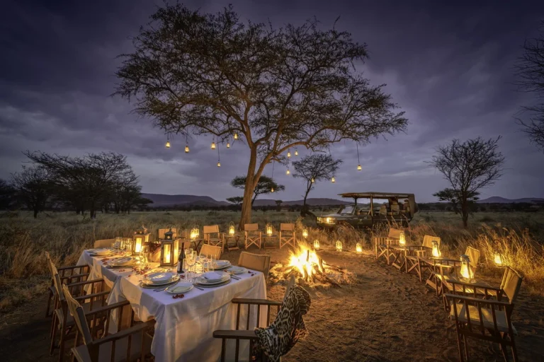 Nimali Central Serengeti