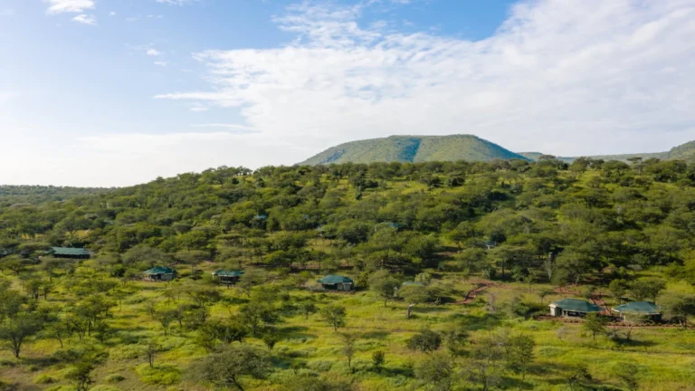 Ole Serai Luxury Camp Moru Kopjes