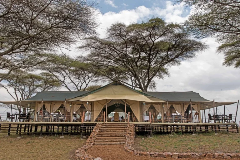 Ole Serai Luxury Camp Turner Springs