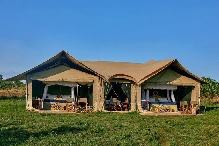 Pamoja Migration Camp Ndutu