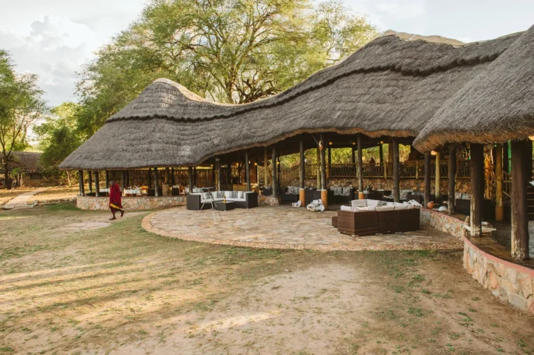 Ruaha River Lodge