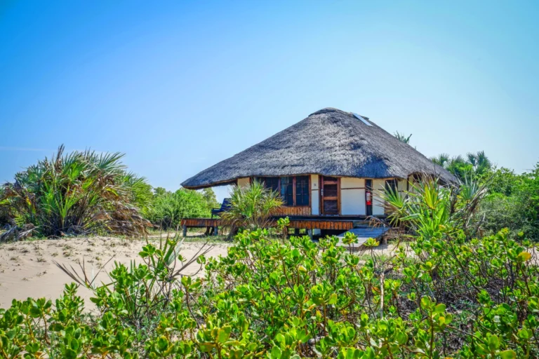 Saadani Safari Lodge