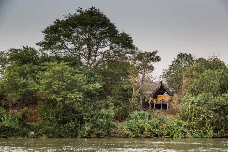 Sand Rivers Selous