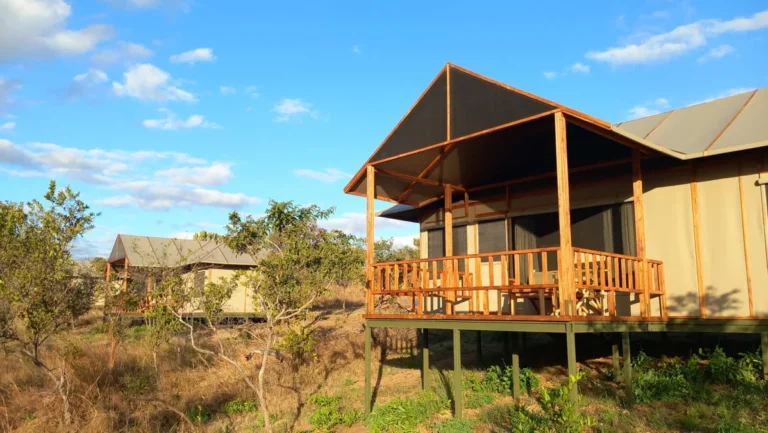 Tarangire View Camp