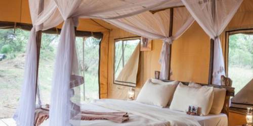 Luxurious tent interior with covered bed, wooden floors, and simple lighting.