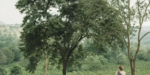 Main pool at Gibbs Safari Lodge Karatu