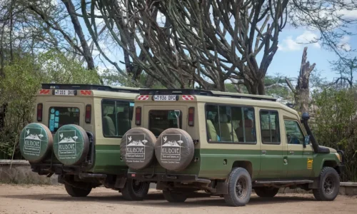 Safari vehicles in Tanzania from Kilidove Tours