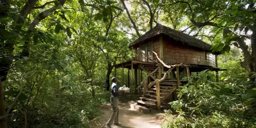 Lake Manyara Tree Lodge guest room treehouse