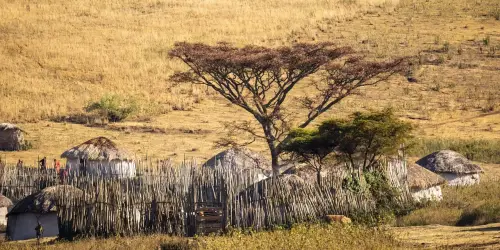Maasai boma during the dry season month of September