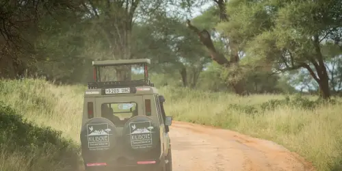 Safari Car Tarangire Tanzania, during a safari trip from Arusha Tanzania