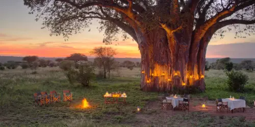 Ndovu Tented Lodge romantic dinner setting