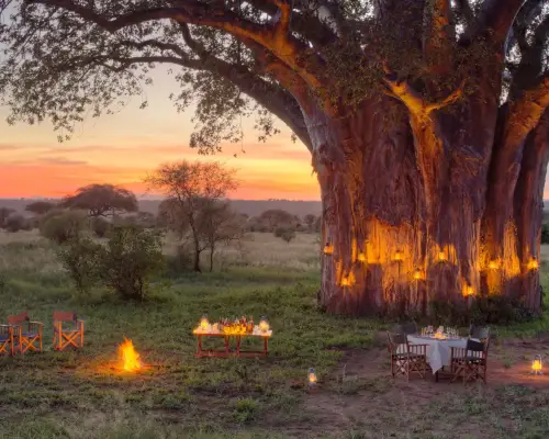 Ndovu Tented Lodge romantic dinner setting