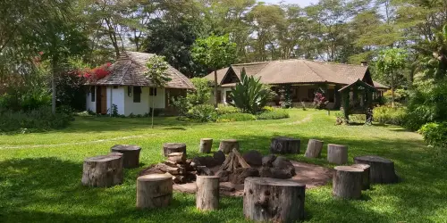 Tumbili Lodge Garden: quaint firepit area with log seating, vibrant garden, and roofed cottages