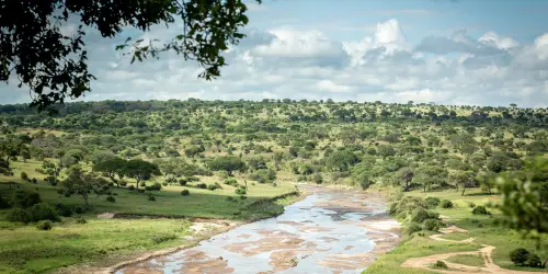 View of the Tarangire national Park river during our safari tour