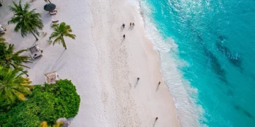 Vue aérienne panoramique d’une plage de Zanzibar entourée de palmiers, soulignant l’attrait de la Tanzanie et de Zanzibar, capturée lors d’un safari de 12 jours en Tanzanie et à Zanzibar.