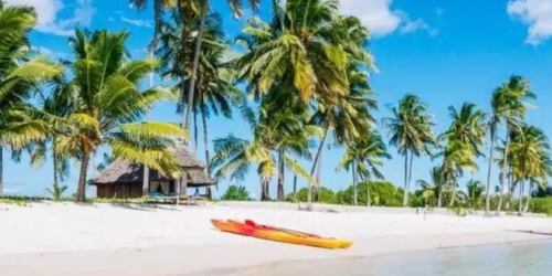 A Beautiful Beach Surrounded by Palm Trees