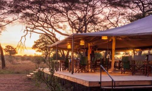 The outside view of the Baobab Tented Camp at the sunset time