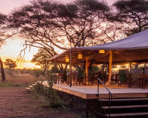 The outside view of the Baobab Tented Camp at the sunset time