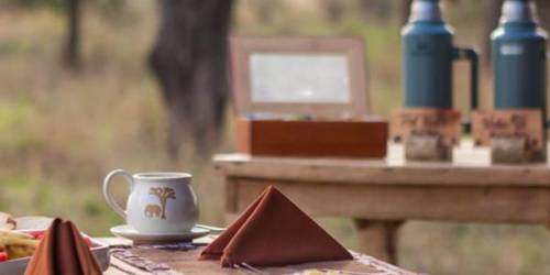 Outdoor picnic setting with a wooden table set with napkins, a mug, and thermos flasks in the background