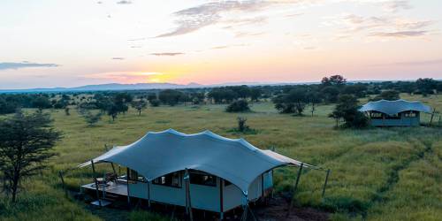 Luxury tents in a Serengeti at sunset at Escarpment Serengeti Camp