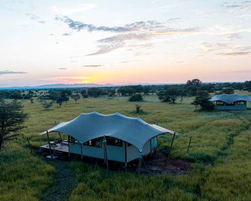 Luxury tents in a Serengeti at sunset at Escarpment Serengeti Camp