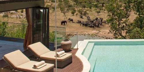 Luxury outdoor lounge area with sunbeds and a pool, overlooking a savannah with a herd of elephants in the distance