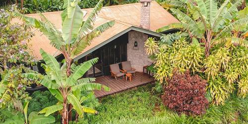 A cozy cabin with a stone wall and wooden deck, surrounded by lush tropical plants and banana trees. Two chairs invite relaxation