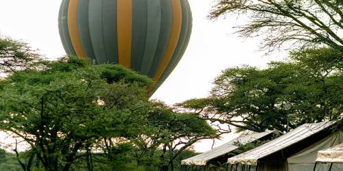 Hot Air Balloon flying over a Gnu Migration Camps