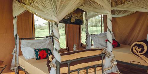 A Covered bed with two windows in the room with an outdoor nature view at Gnu Migration Camps