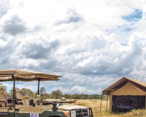 Kilidove Tours Open Jeep at GNU Migration Camp