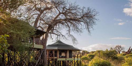 Outside view of Kuro Treetops Lodge
