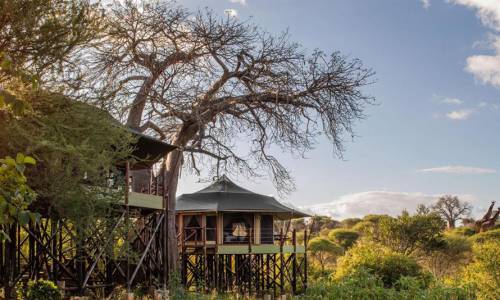 Outside view of Kuro Treetops Lodge