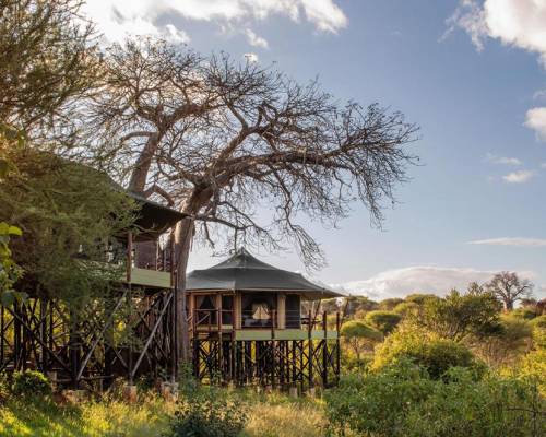 Outside view of Kuro Treetops Lodge