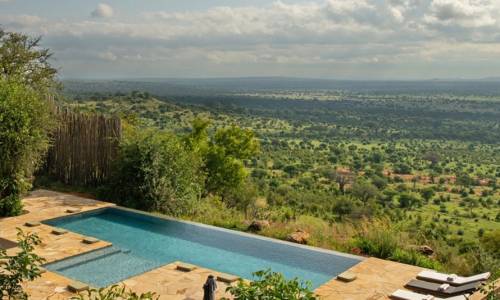 Infinity pool overlooking expansive green savannah under a cloudy sky