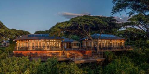 Lion’s Paws Lodge with lit interiors on an elevated deck amidst lush greenery at dusk.