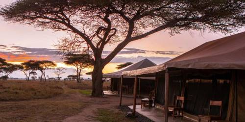 Sunset at a Mawe tented Camp with tents under an acacia tree