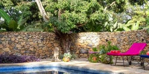 A tranquil pool surrounded by lush greenery with a bright pink sun lounger at the side