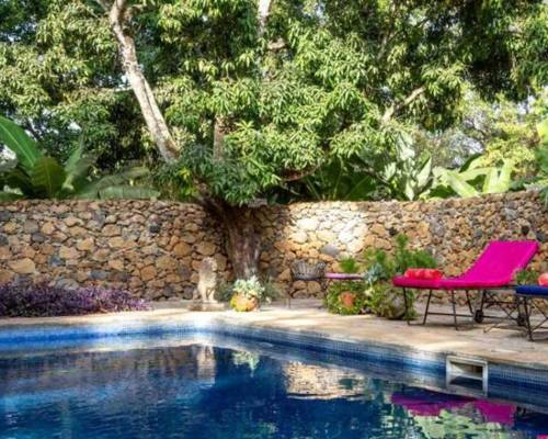 A tranquil pool surrounded by lush greenery with a bright pink sun lounger at the side